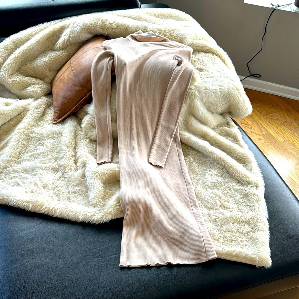 Long sweater dress, turtleneck